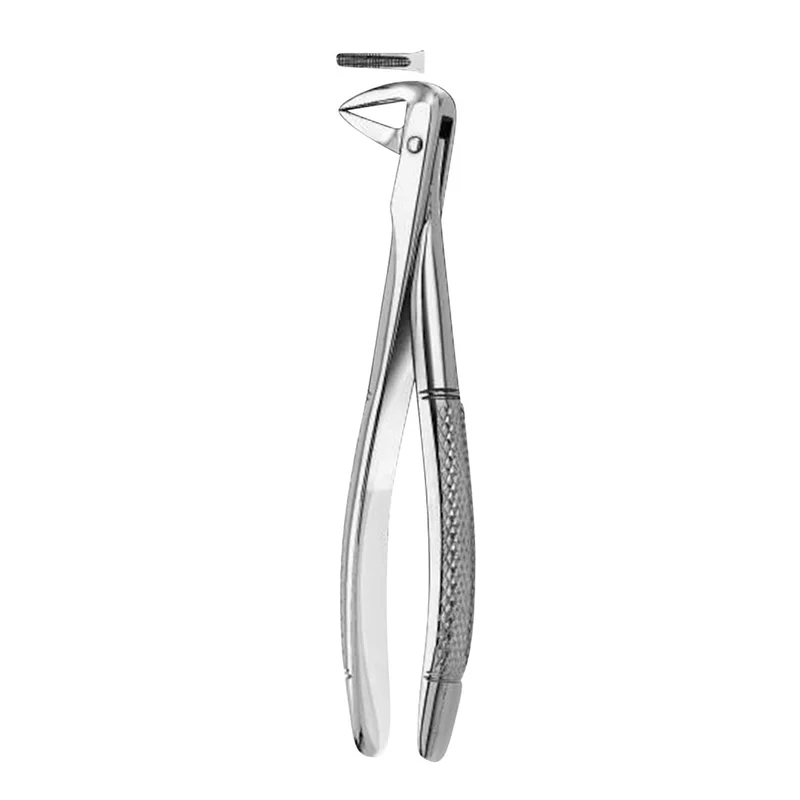 denta-tec-120260712125128962542
