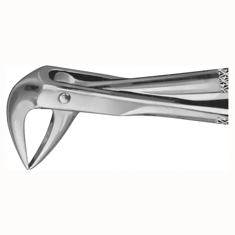 denta-tec-120260712143555973918