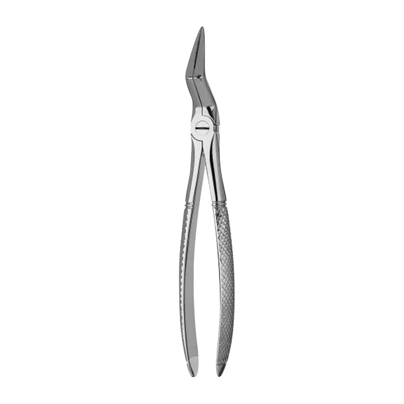 denta-tec-120260712150259976643