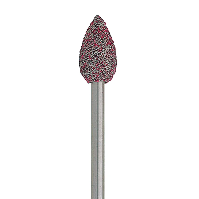denta-tec-120260712155159981324