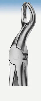 denta-tec-120260712185810999881