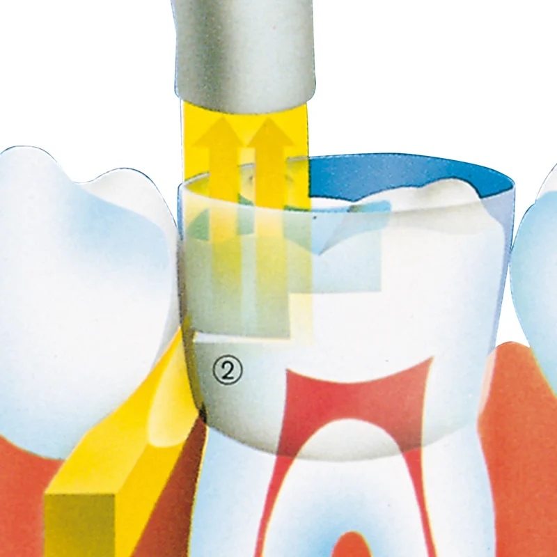 denta-tec-1202607121904481000567