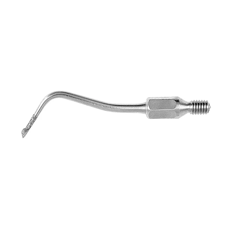 denta-tec-1202607121906131000706