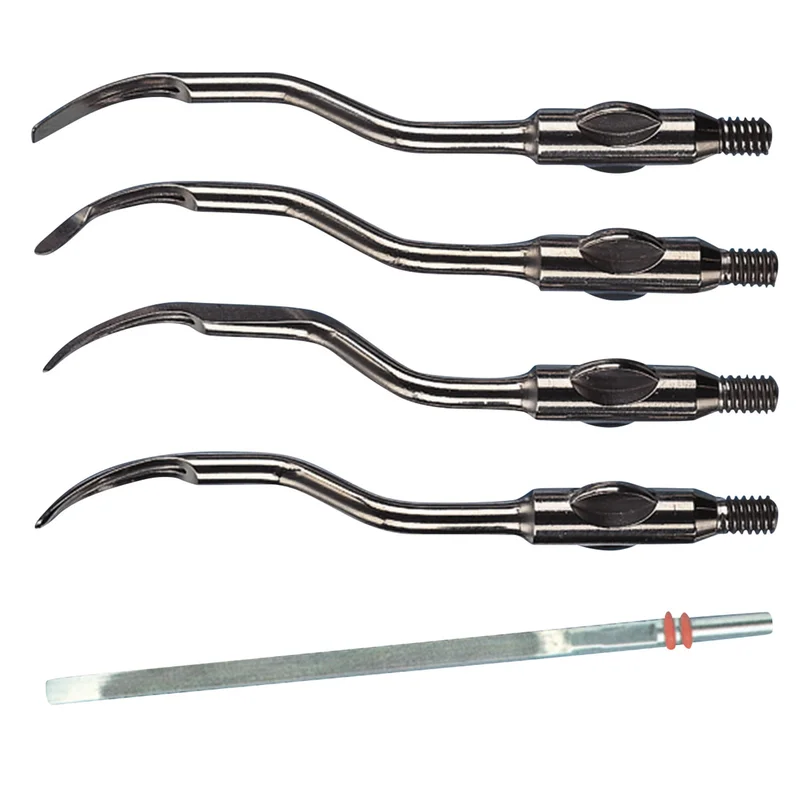 denta-tec-1202607121910171001173