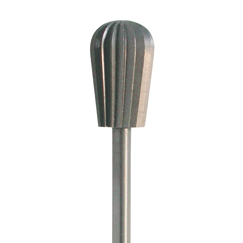 denta-tec-1202607122145141018085
