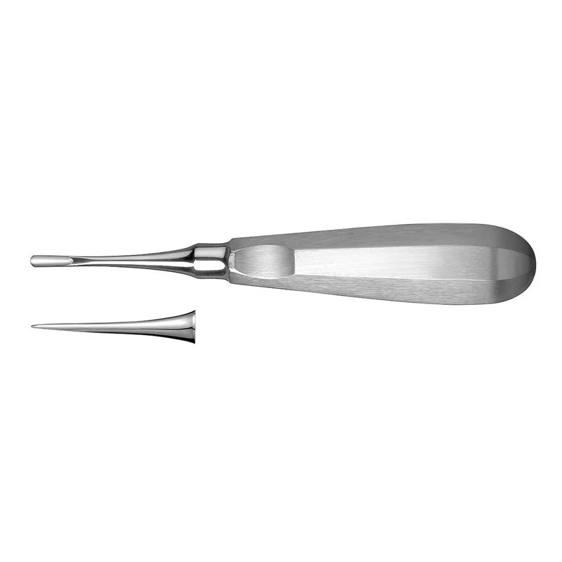 denta-tec-1202607122154321019147