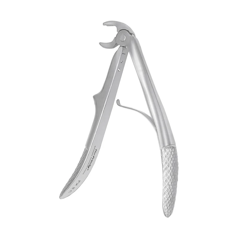 denta-tec-1202607122207101020637