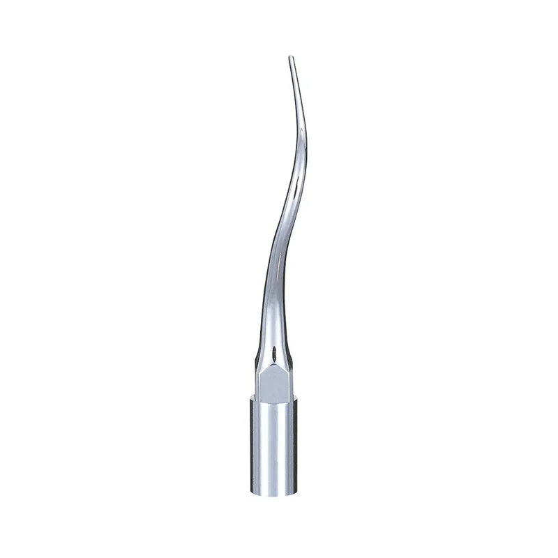 denta-tec-1202607122220501022251