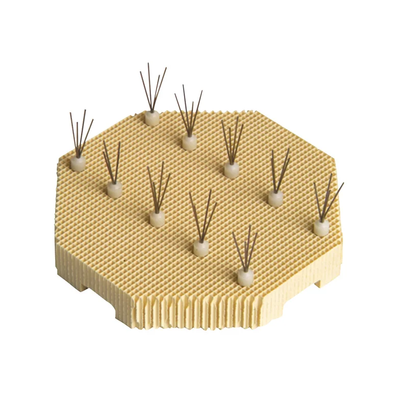 denta-tec-1202607122221591022385