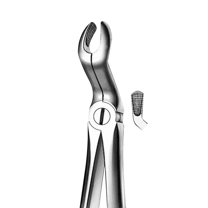 denta-tec-1202607122358371033204
