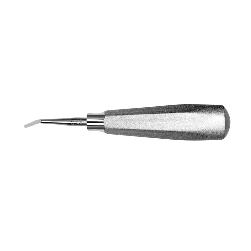 denta-tec-1202607130008271034304