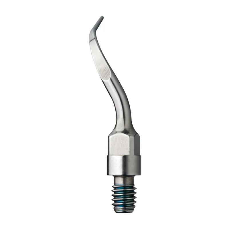 denta-tec-1202607130037571037019