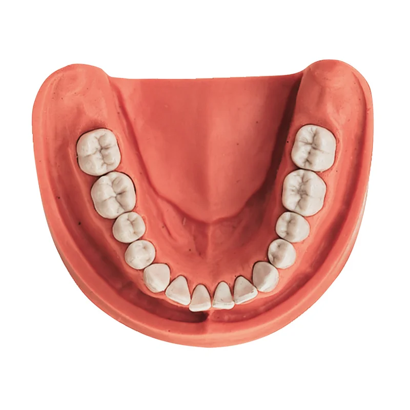 denta-tec-1202607130107501039876