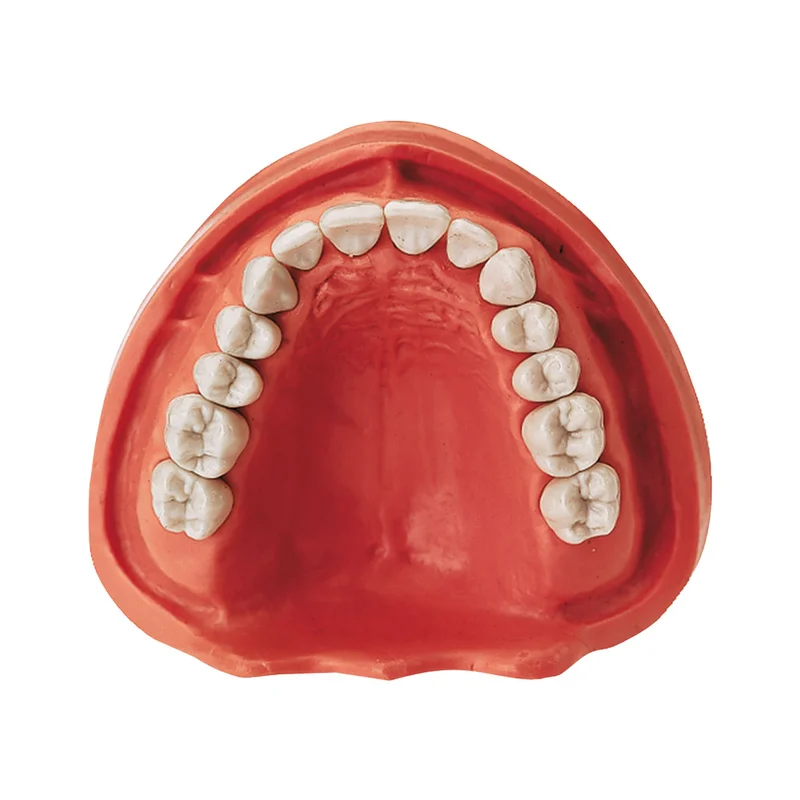 denta-tec-1202607130108001039898