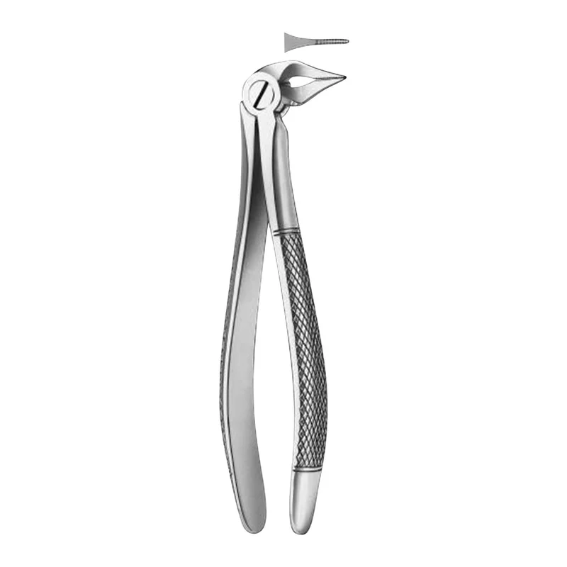 denta-tec-1202607130218431045821