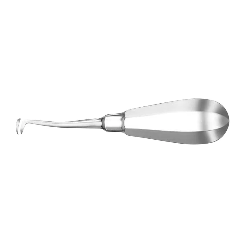 denta-tec-1202607130223541046151