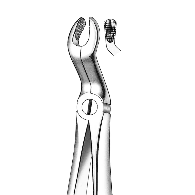 denta-tec-1202607130230141046582