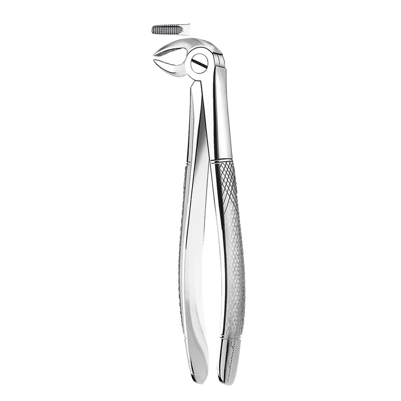 denta-tec-1202607130230401046613