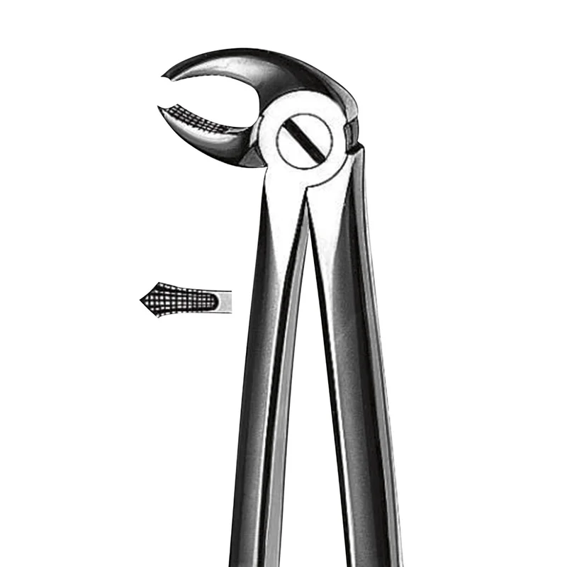 denta-tec-1202607130232081046712