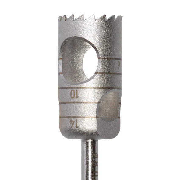 denta-tec-220260710173024644551