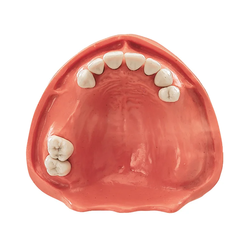 denta-tec-220260710201257679781