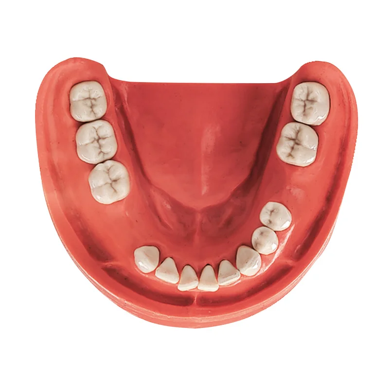 denta-tec-220260710201309679818