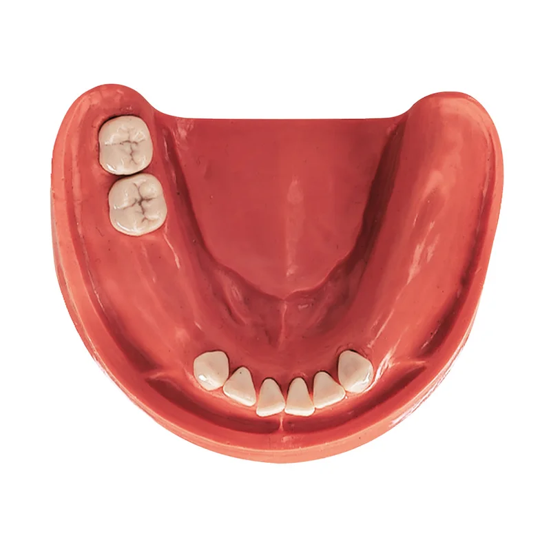 denta-tec-220260710201327679877