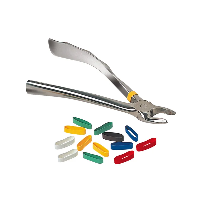denta-tec-220260710202935682995