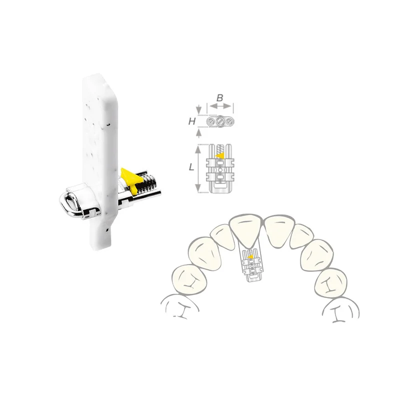 denta-tec-220260710203726684453