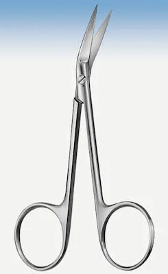 denta-tec-220260710215411697291