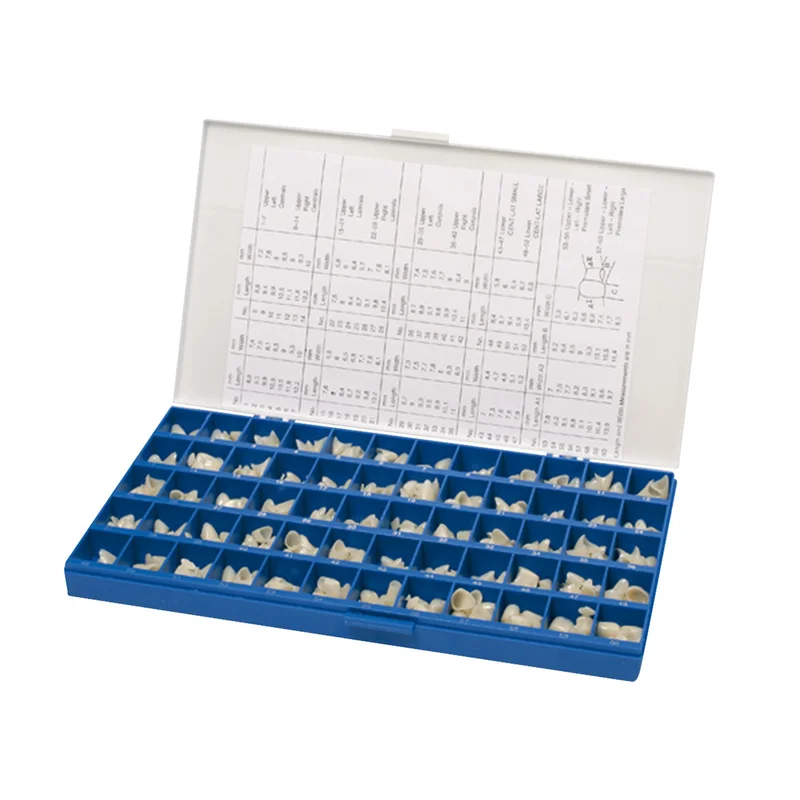 denta-tec-220260710225223707610