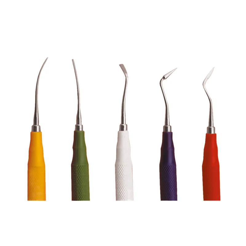 denta-tec-220260710230739710427