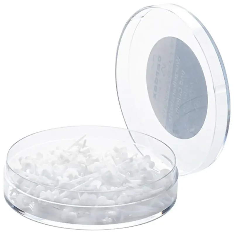 denta-tec-220260710234902717184