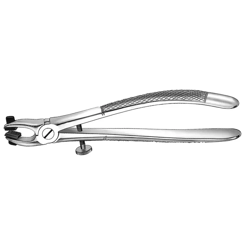 denta-tec-220260710235132717668