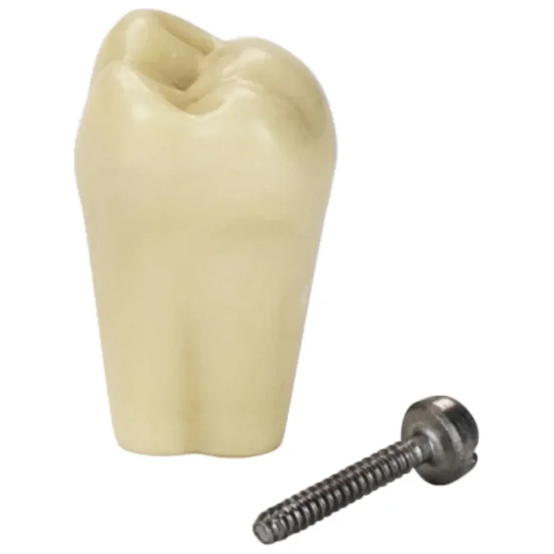 denta-tec-220260711001152721266