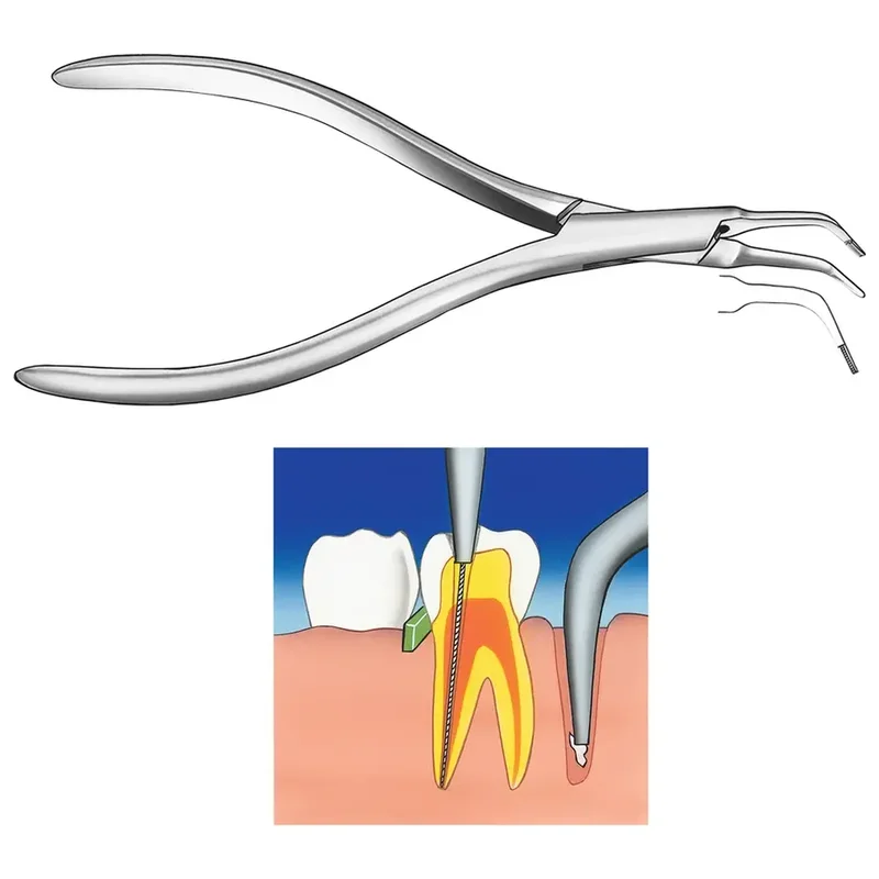denta-tec-220260711003331725095