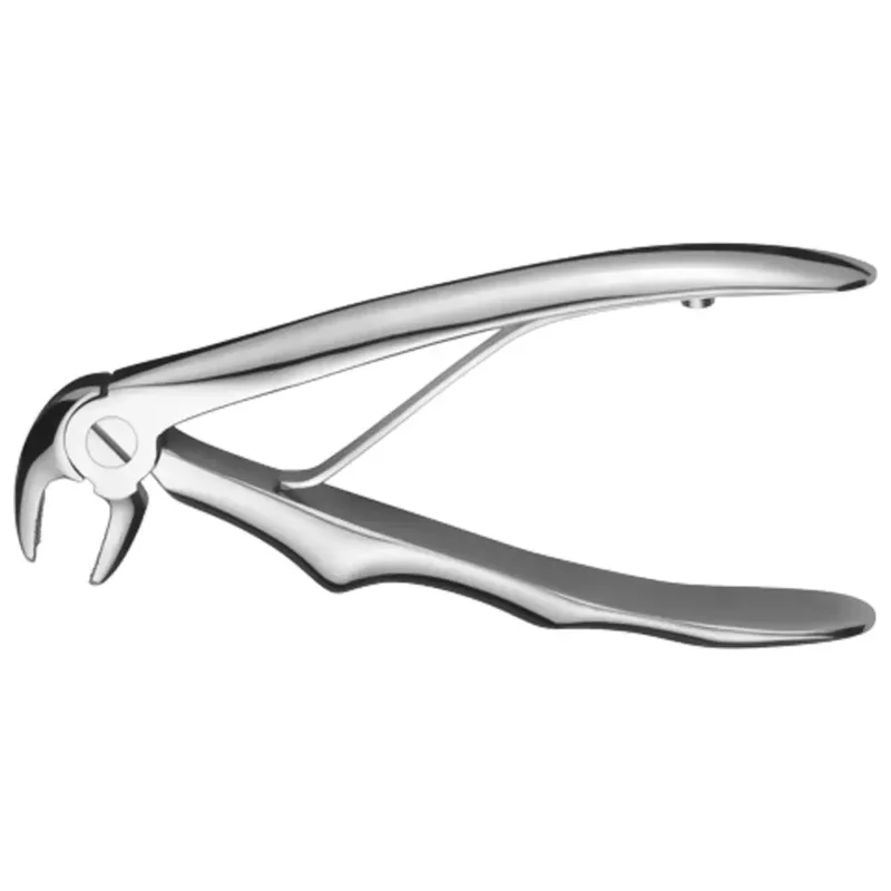 denta-tec-220260711014734737745