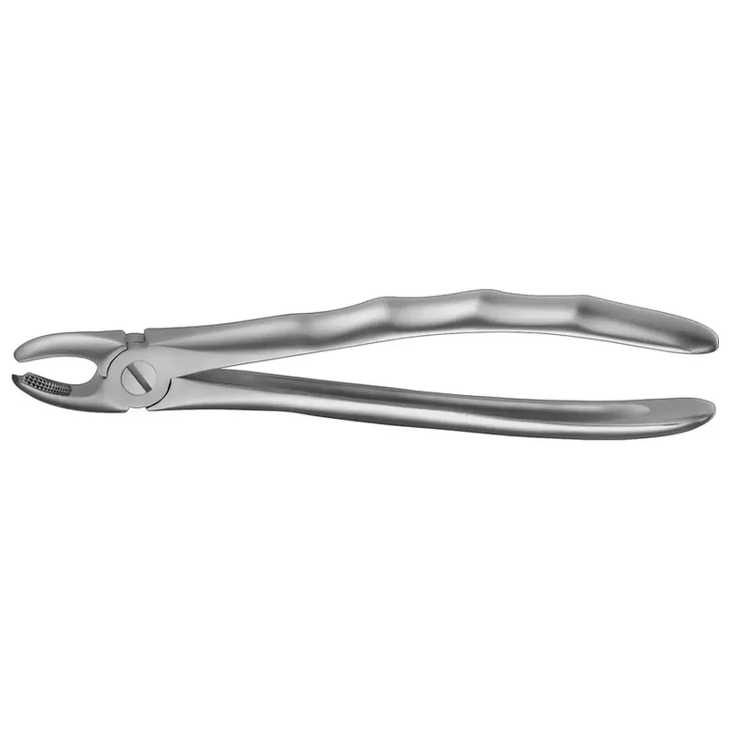 denta-tec-220260711020151739784