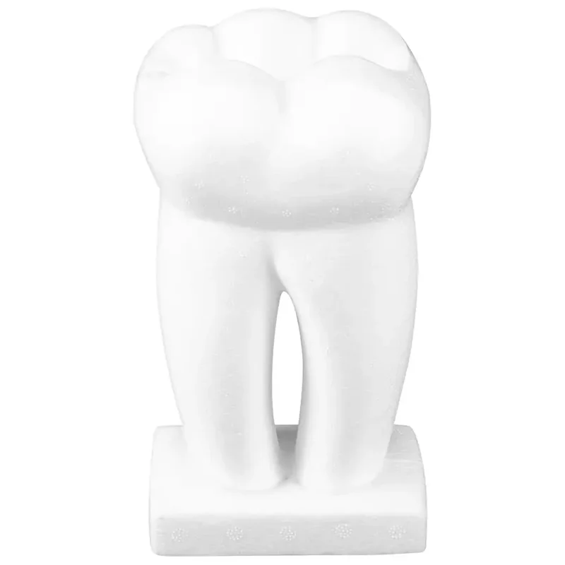 denta-tec-220260711023753745140