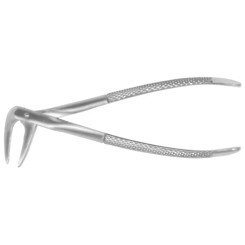denta-tec-220260711034648751551