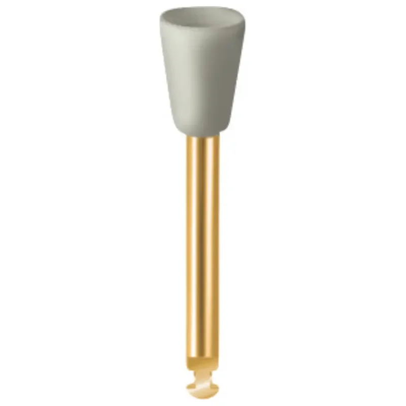 denta-tec-220260711045032762321