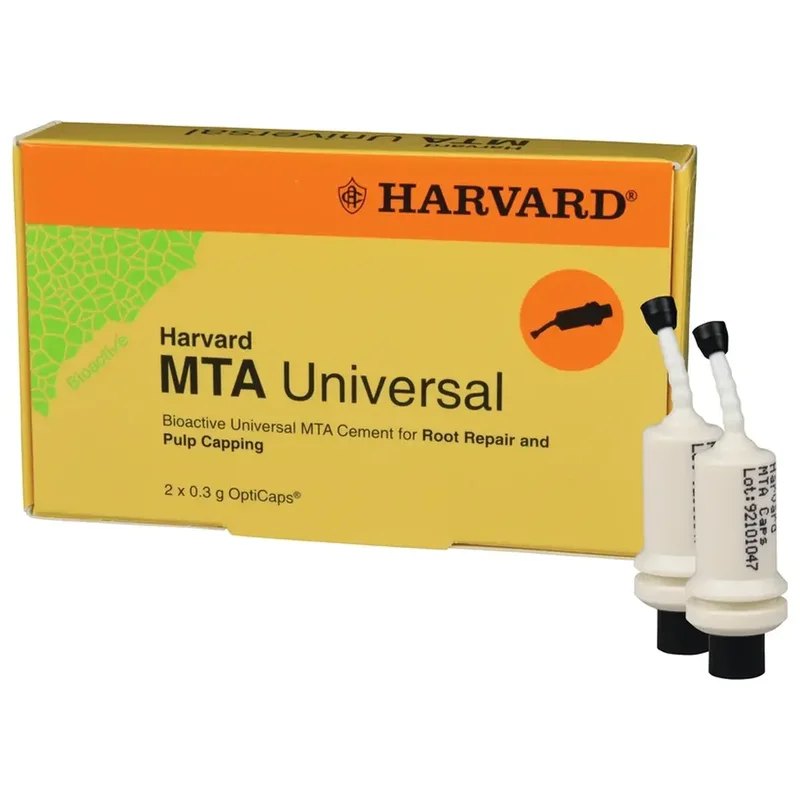denta-tec-220260711050302764225