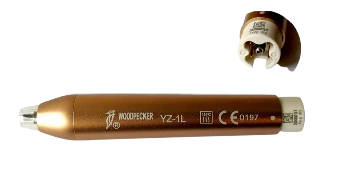 denta-tec-220260711052715768089