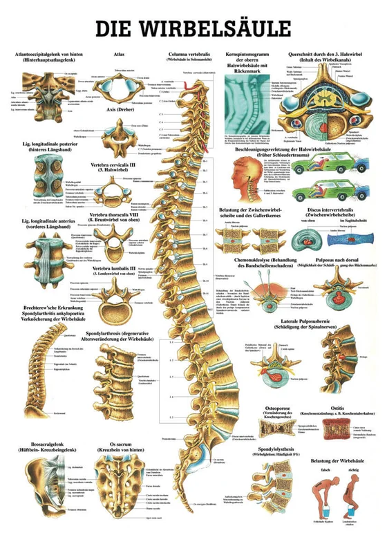 doccheckshop20260710180124651351