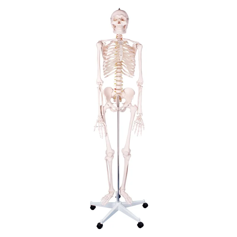 doccheckshop20260710180815652922