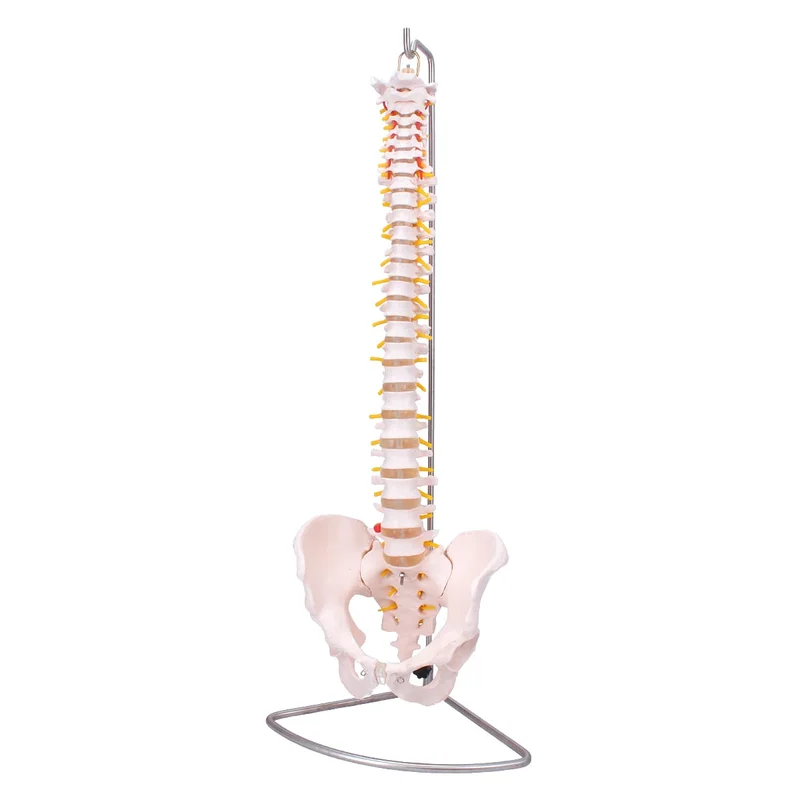 doccheckshop20260710180817652931