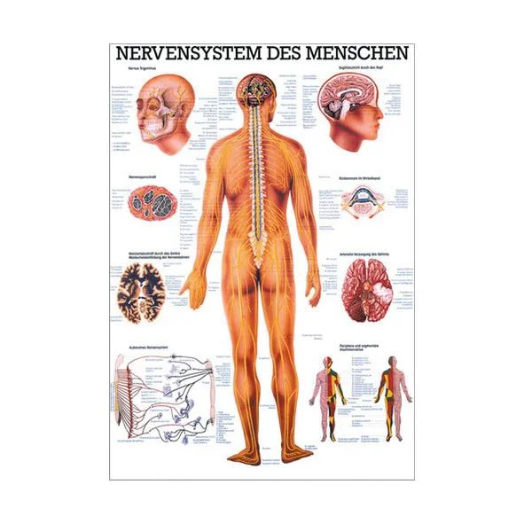 doccheckshop20260710181129653662