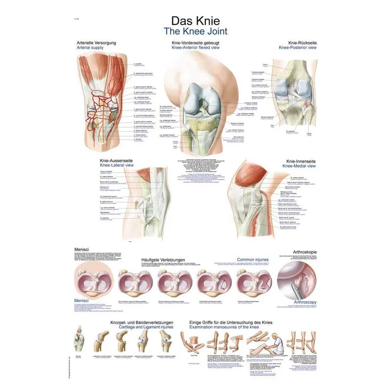 doccheckshop20260710181726655013