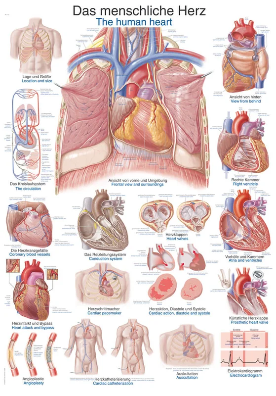 doccheckshop20260710181728655021