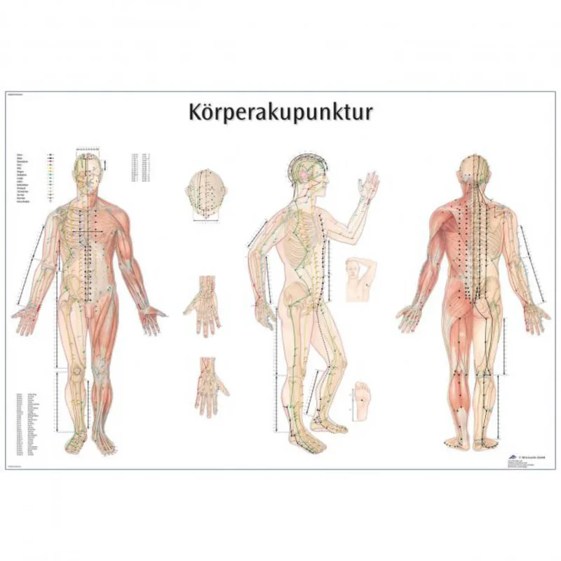 doccheckshop20260710181809655178